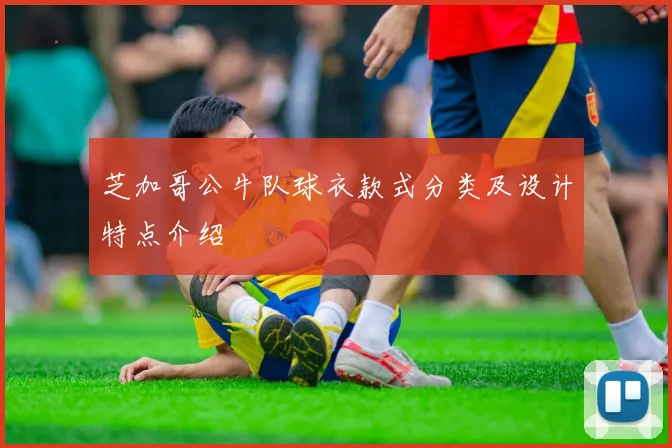 芝加哥公牛队球衣款式分类及设计特点介绍