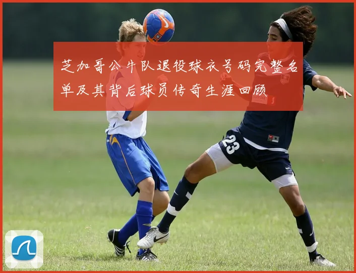 芝加哥公牛队退役球衣号码完整名单及其背后球员传奇生涯回顾