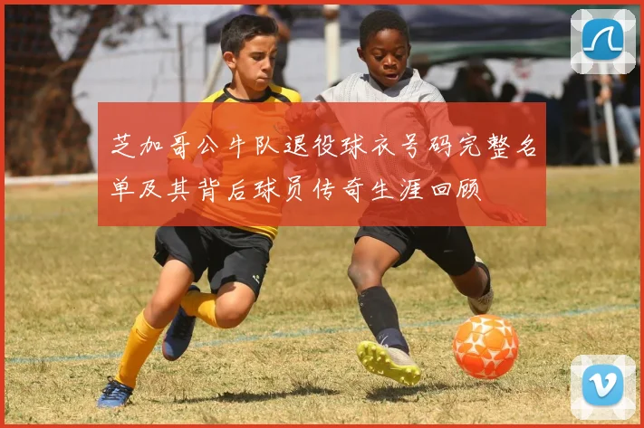 芝加哥公牛队退役球衣号码完整名单及其背后球员传奇生涯回顾